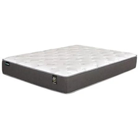 Queen Plush Pocketed Coil Mattress and Prodigy Lumbar Adjustable Base